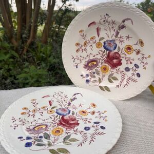 Vernon Kilns Chintz Vintage MCM Dinner Plates 10.5" Set of 2 Floral Hand Painted